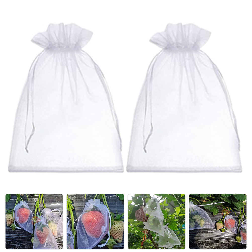 50Pcs Kantong Pelindung Buah J - Mesh Net Bag ulasan dan harga
