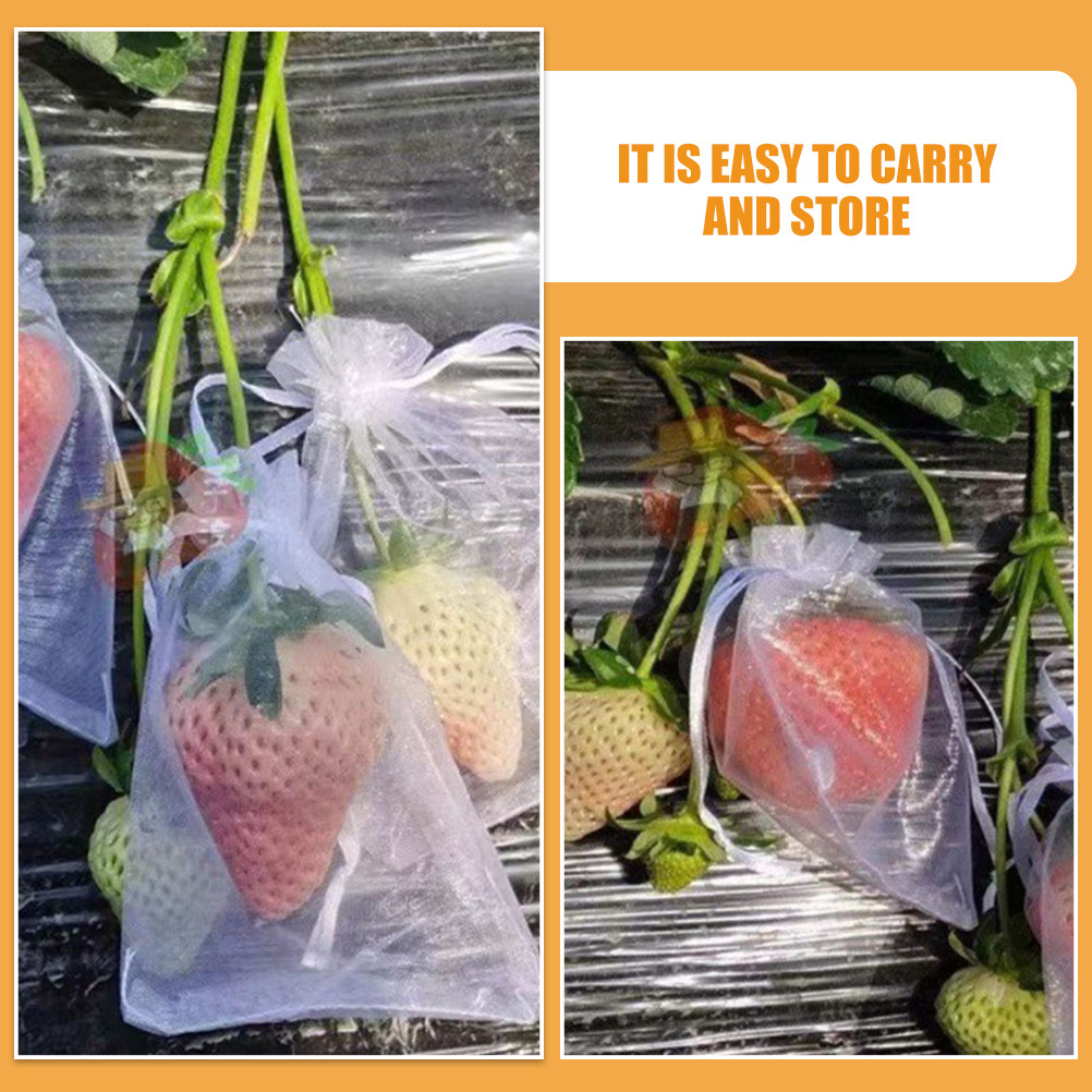 50Pcs Kantong Pelindung Buah J - Mesh Net Bag ulasan dan harga